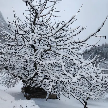 In Apartamento Sankt Niklaus