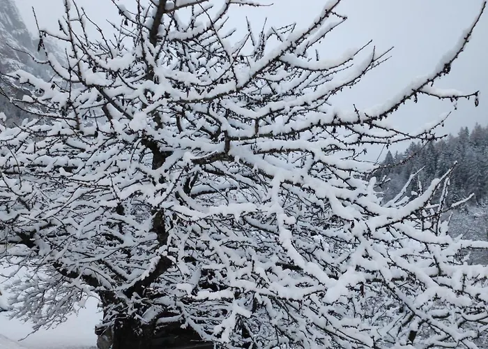 In Apartamento Sankt Niklaus